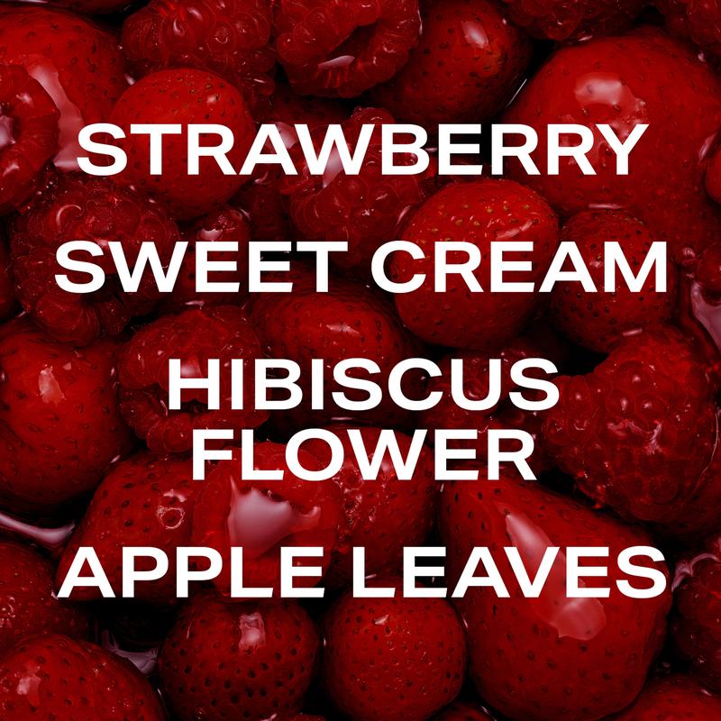 PHLUR Berry Matcha Latte Duo - Matcha Milk + Berry Cream Full Size Body Mist Set (2 x 8 Fl Oz)